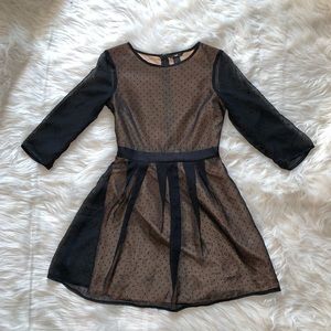 H&M Sheer Black Swiss-Dotted Dress